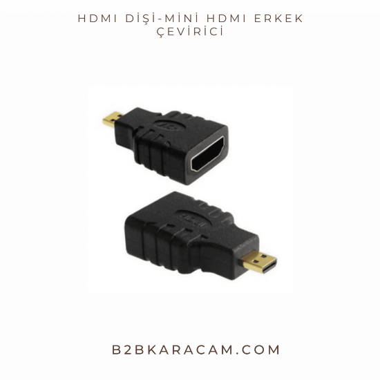 HDMI Dişi-Mini HDMI Erkek Çevirici resmi