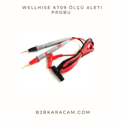 WellHise KT09 Ölçü Aleti Probu  resmi