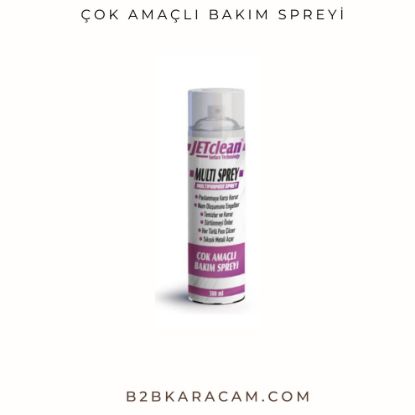 ÇOK AMAÇLI BAKIM SPREYİ resmi