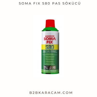 Soma Fix S80 Pas Sökücü resmi